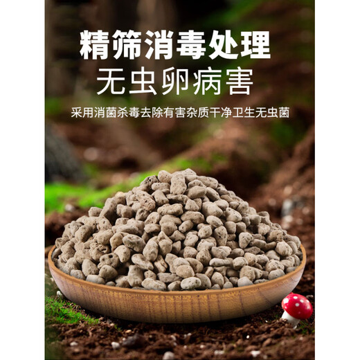 Pumice granules pumice bowl bottom orchid stone comparable to Hyuga stone succulent orchid pavement bottom aquarium filter material whole package other areas 6-9MM pumice 14 liters original whole package (Yungui, Sichuan, Chongqing Guangzhou