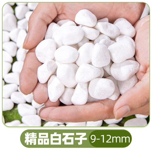 Colored ceramsite bottom ceramsite soil special filter flower pot fish tank bottom sand hydroponic small ceramsite pavement gardening diameter 9-12mm fine paving white stone 5Jin Jin equals 0.5 kg