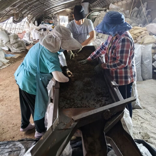 FANCYCHIC Peat Soil Screening Block Granules Various Specifications 10-40mm 18L