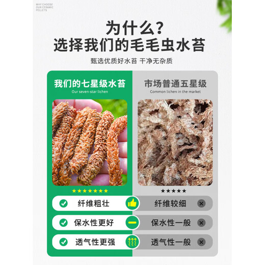 Chile imported sphagnum red grass caterpillar sphagnum moss Phalaenopsis orchid special soil plant turtle hibernation moisturizing limited trial Chilean caterpillar sphagnum moss 50g