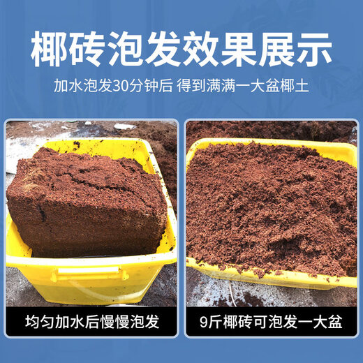 Coconut brick nutritious soil for growing vegetables, universal desalted coconut bran chunks, brick soil, turtle hibernation flower cultivation soil, planting soil, imported coconut bricks 65Jin Jin equal to 0.5kg, full bag group purchase, take as you go
