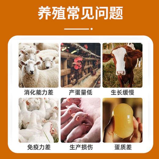 金凤凰兽用蛋鸡鸭鹅猪用维生ADE电解多维充矿物质饲料添加剂 100袋装