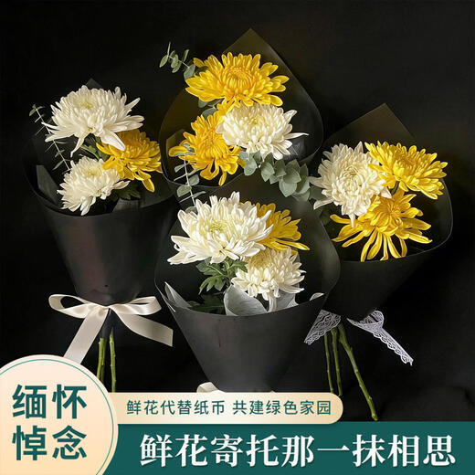 Fresh flower gift for Tomb Sweeping Day, single yellow and white chrysanthemum, real flowers express delivery within the city and nationwide, tomb-sweeping and paying homage to ancestors, offering flowers, single chrysanthemum, simple packaging, minimum delivery of 30 pieces
