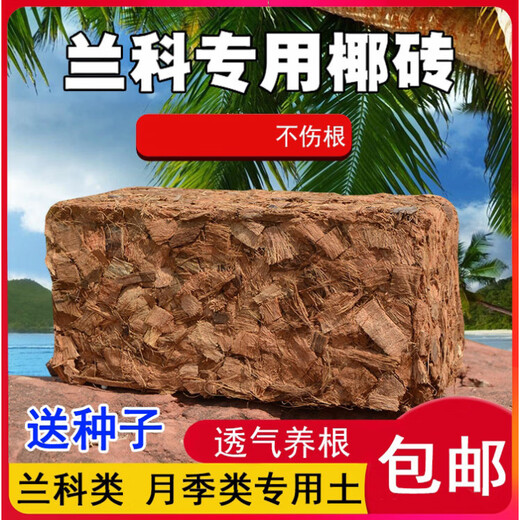 Special nutrient soil for orchids, small coconut shell bricks, coarse coconut bran, Phalaenopsis orchid dendrobium plant material, coarse coconut blocks, compressed desalination coconut bricks, 1 fine coconut brick (desalination and high foaming) (seeds included)