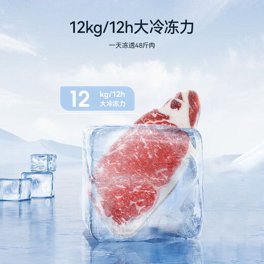 MeiLing美菱大眼电控200/300/350升单温家用冰柜减霜直冷定频一级能效-35°深冷速冻电脑控温以旧换新 300升【-35度机控】钢板内胆 300L