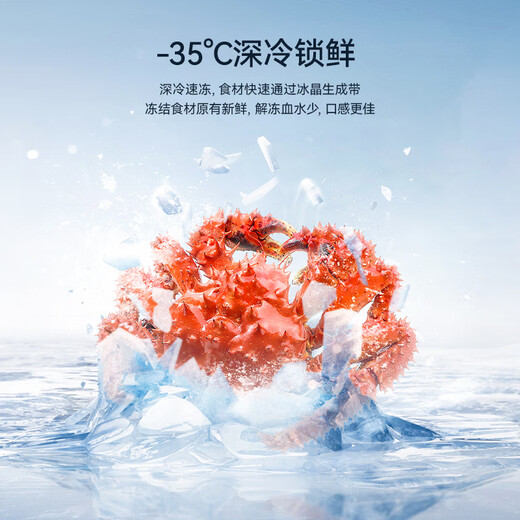 MeiLing美菱大眼电控200/300/350升单温家用冰柜减霜直冷定频一级能效-35°深冷速冻电脑控温以旧换新 300升【-35度机控】钢板内胆 300L
