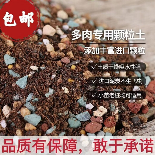 Succulent soil granular soil special nutritional soil succulent plant planting paving stone leaf insert imported peat flower soil full particles 10Jin Jin equal to 0.5kg 3-5mm