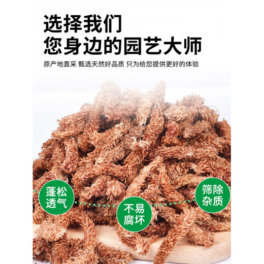 Chile imported sphagnum red grass caterpillar sphagnum moss Phalaenopsis orchid special soil plant turtle hibernation moisturizing limited trial Chilean caterpillar sphagnum moss 50g