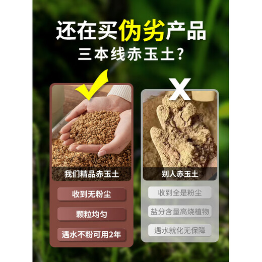 Akadama soil Sanbenxian particles Japan imported succulent soil nutritious soil bonsai special weathered soil paving stone climbing pet original whole package 1-3mm Sanbenxian Akadeca soil 16Jin Jin equal to 0.5kg