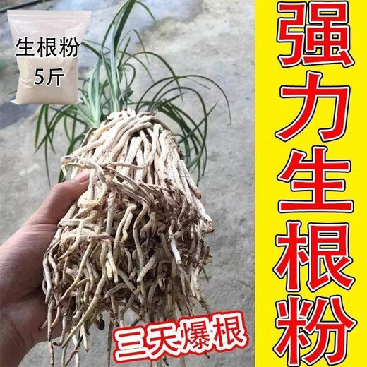 Sprinkle and explode the roots. Powerful rooting powder for rooting and multi-bacterial fertilizer. Flower cuttings and transplants to strengthen roots and seedlings. 5Jin Jin is equal to 0.5kg. Rooting is multi-nutrient.