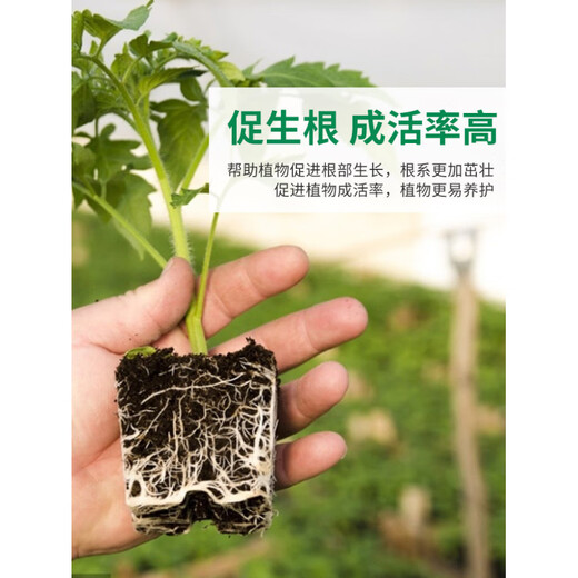 Humus leaf soil, decomposed clivia, special humus soil nutrient soil planting soil, oak oak leaf orchid bonsai acidic orchid soil luxury upgraded version 5 liters