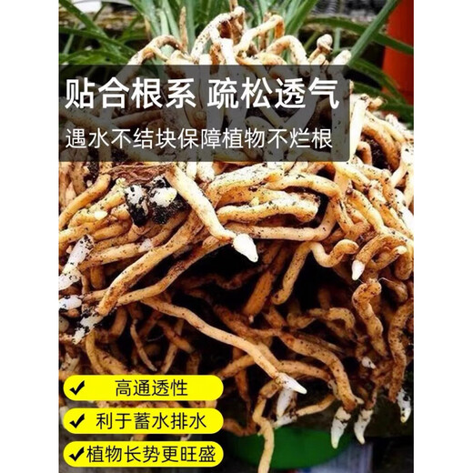 Humus leaf soil, decomposed clivia, special humus soil nutrient soil planting soil, oak oak leaf orchid bonsai acidic orchid soil luxury upgraded version 5 liters