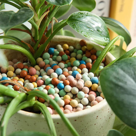 Colored ceramsite bottom ceramsite soil special filter flower pot fish tank bottom sand hydroponic small ceramsite pavement gardening diameter 9-12mm fine paving white stone 5Jin Jin equals 0.5 kg