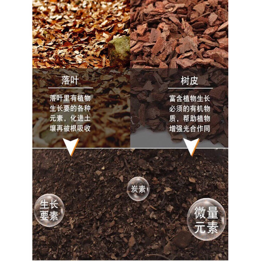 Humus leaf soil, decomposed clivia, special humus soil nutrient soil planting soil, oak oak leaf orchid bonsai acidic orchid soil luxury upgraded version 5 liters
