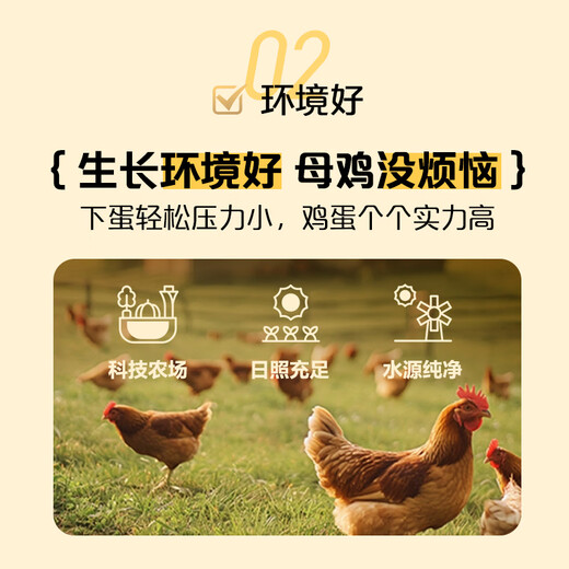 One s Member Lutein Can Be Eaten Raw Standard Fresh Eggs 20 Pieces 55g Straight from the Source One s Member Lutein Can Be Eaten Raw Standard Fresh Eggs 20 Pieces 55g Straight from the Source