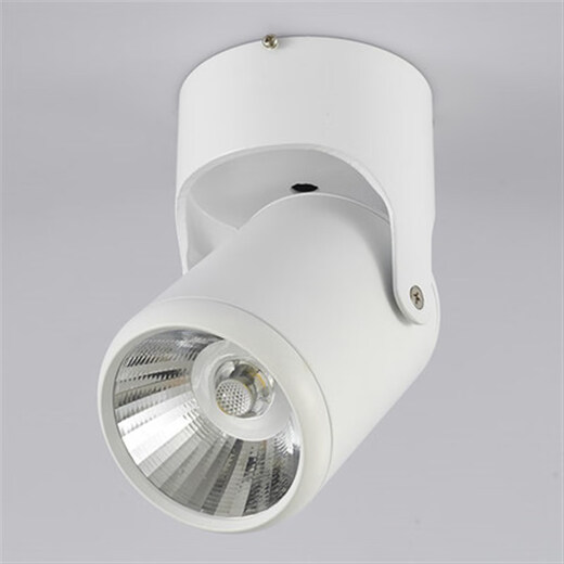 NGIA surface-mounted universal adjustable ceiling lamp full spectrum plant growth lamp indoor flower and green plant imitation sunlight fill light white model 20W natural light 4000K full spectrum