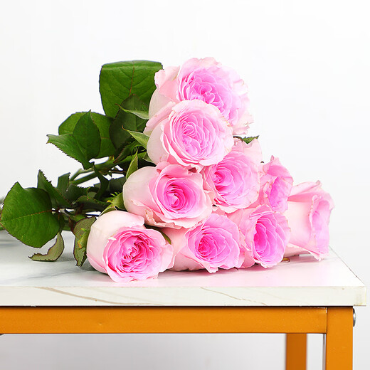 Full of fairy spirit, 10 Roselle roses