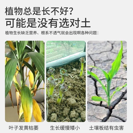 Shangyang universal nutrient soil flower planting soil vegetable planting soil green plant potted organic peat soil 2L