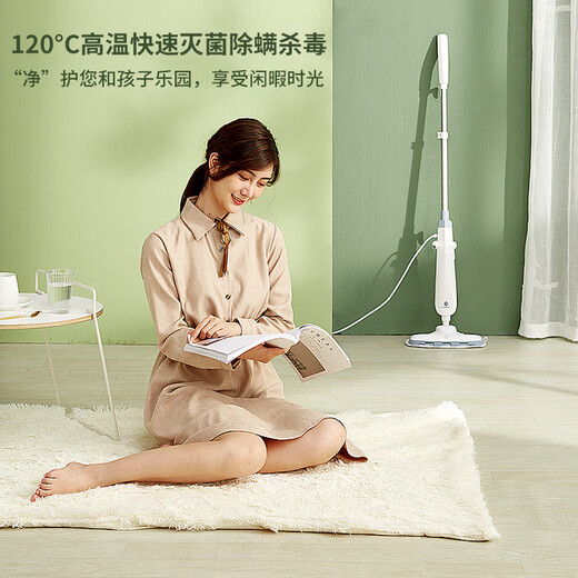 Liren steam mop household multifunctional high pressure and high temperature steam cleaner floor mop electric handheld cleaning floor mop ZTB-W1008