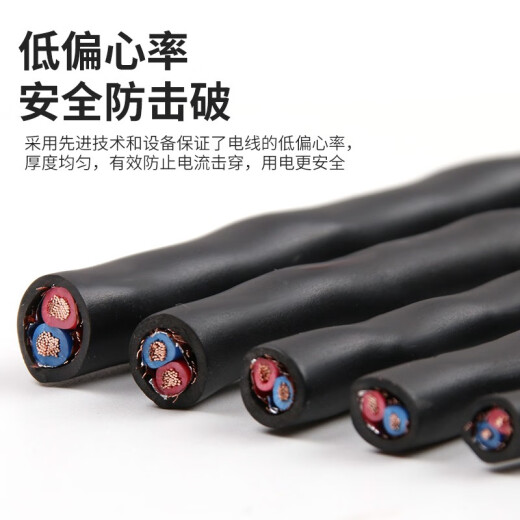 ANRUNDA national standard ZR-RVSP twisted pair shielded power cord 485 control line pure copper communication signal cable national standard RVSP2*0.5 shielded power cord 100 meters