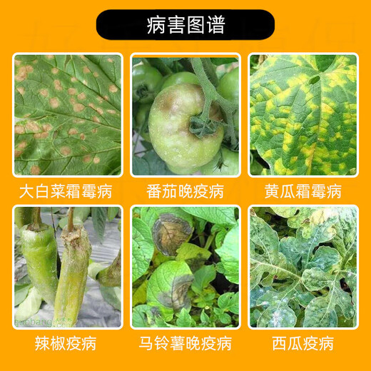 Bayer (BAYER) silver method fluopyram propamocarb watermelon pepper grape tomato morning and evening blight downy mildew pesticide fungicide 100ml (5 bottles)