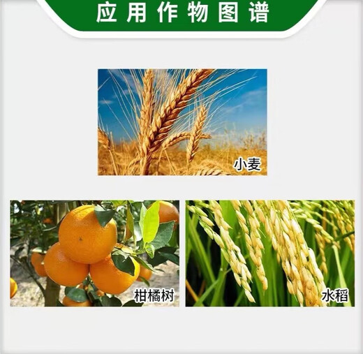 Shengshou Tetradecyl Hydroxybrassinosteroid Sterol Rice Citrus Tree Wheat Growth Promoting Plant Growth Regulator 100ml