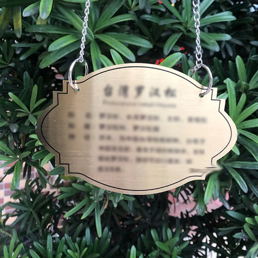 Lu Lingqing stainless steel tree sign spring tension spring rope hanging chain 304 stainless steel material can be retracted without damaging the tree sign. Customized tree sign. Contact customer service.
