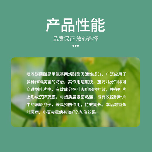 Bonsec 25% pyraclostrobin azoxystrobin scab powdery mildew anthracnose pesticide fungicide