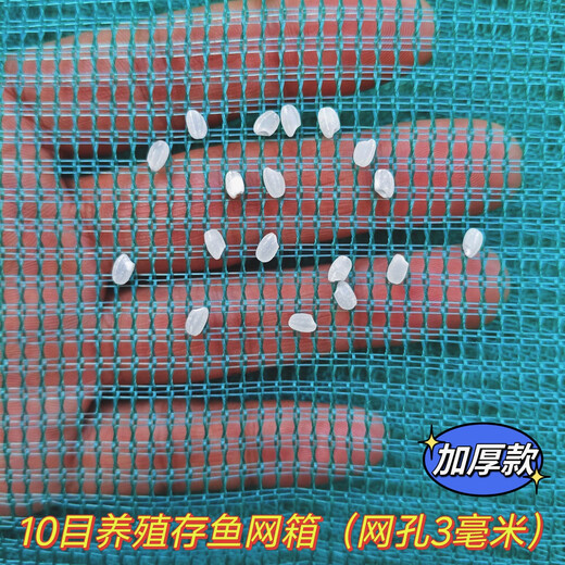 Fish farming cages, fish storage cages, bullfrog and eel fry cages, thickened cages, custom-made fishing nets, aquaculture cages, 10 mesh (3mm mesh) stamped version, 1.5 meters long - 1 meter wide - 1 meter high