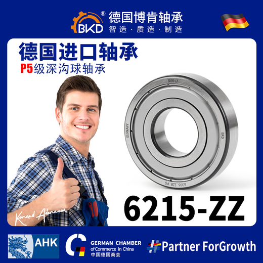 German BKD imported bearings 6213 6214 6215 motor 6216 deep groove ball bearings 6217 6218 6219ZZ 6215-ZZ iron cover P5 level 75*130*25 others