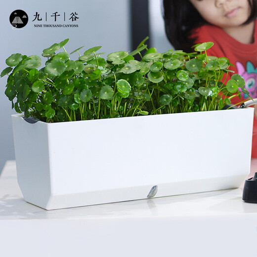 九千谷种菜盆 长条形种植盆种菜神器花盆栽蔬菜种植箱自吸水花盆6218