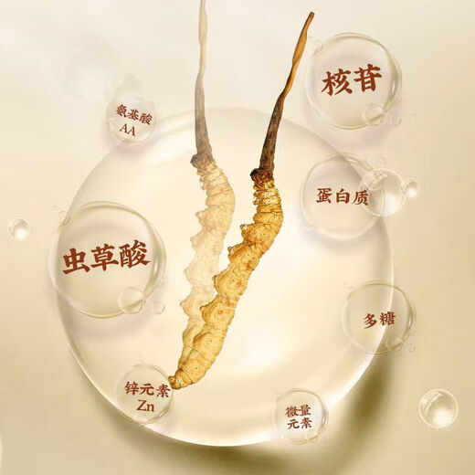 
Authentic Cordyceps gift box genuine dry goods Mid-Autumn Festival gift high-end gifts for elders and parents nutritional products Bamboo pattern carry-on box large strips of Cordyceps 10 pieces