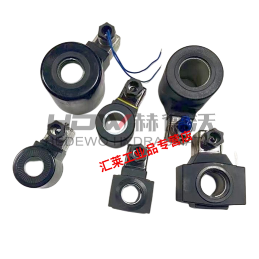 Hydraulic solenoid valve coil DSG inner diameter 13/16/20/23/26/31.5 voltage 220/24V/110v/12v 03 series inner hole 26 DC24V