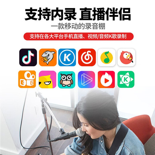 Roland speaker CUBE STREET EX second generation Internet celebrity outdoor live broadcast guitar playing and singing road show portable audio EX + Shure microphone + lithium battery + bag + 2 types of stands