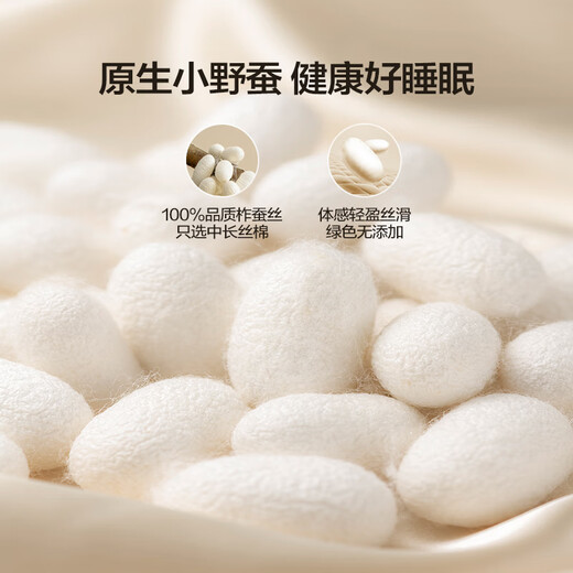 Hengyuanxiang Golden Time Antibacterial 100% Natural Wild Silk Four Seasons Quilt About 3.2 Jin Jin equals 0.5 kg 220*240cm White