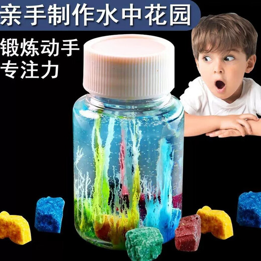 Shiyan Liangpin Children's Experimental Water Garden DIY Chemistry Primary School Students Scientifically Made Silicate Nano-Grown Stone Magic Stone Toy Water Garden (1 Set) with Instructions