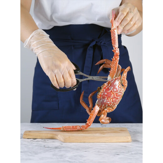 Miaopule Deutschland importiert extra dickes Krabbenschälartefakt, Spezialschere zum Spalten haariger Krabben, multifunktionale Krabbenschere, Esswerkzeug GG134 – multifunktionale Krabbenschere – 1 Paar