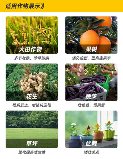 Chlormequat paclobutrazol special multi-effect strawberry farm store corn wheat pbo control agent growth regulator 500ml