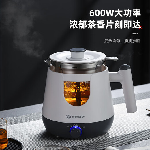 Biooner tea kettle, health kettle, spray type kettle, glass kettle, electric kettle, steaming tea kettle, tea steamer, flower tea kettle, white basic model 0.8L