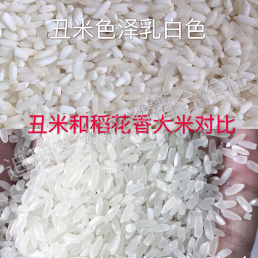 Vilerui Northeast Daohuaxiang Nr. 2 10 Jin Jin entspricht 0,5 kg Choumi Nr. 2 authentische Reisschneeflocke Dao Hua Xiang Nr. 2 Boutique 19266 Standard 10 Jin Jin entspricht 0,5 kg g