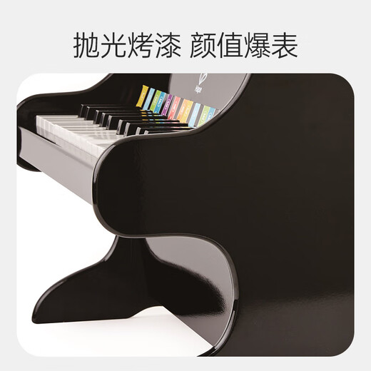 Hape (Germany) Boy Toy Girl Wooden Piano Instrument 25 Key Piano Black 3-6-12 Years Old Gift E8463