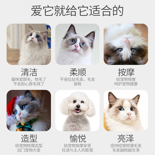 Qi Oh Dog Massage Comb Cat Comb Bath Brush Dog Comb Anti-static Pet Knot Unknot Comb Cat Hair Removal Magic Hair Removal Massage Comb Electroplating Silver