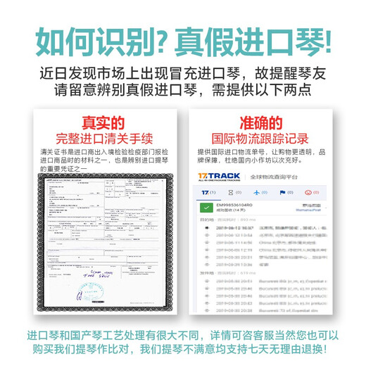 克莉丝蒂娜（Christina）欧洲原装进口小提琴EU4000B考级进阶演奏成人学生乐队乐团乐器 4/4身高155cm以上