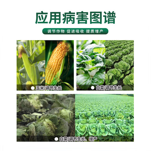 Guoguang Youlehong 8% amine fresh ester coloring increases root production, promotes cell division, preserves flowers and fruits, growth regulator 1000ml