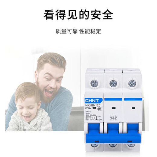 CHNT (CHNT) изолирующий переключатель nxhb-12532a Маленький 3P4P63A100A.