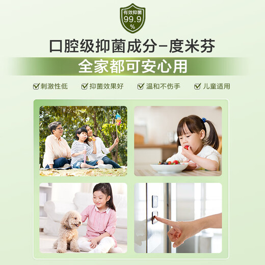 Jingdong Made Antibacterial 99.9% Qingya White Tea Foam Hand Sanitizer 300ml Healthy Oral Grade Children Adults Disinfection Easy to Wash