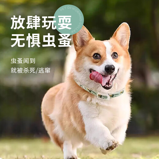 Huanpet.com cat repellent collar, dog cat pet dog cat collar, flea removal cat kitten, kitten puppy in vitro flea removal