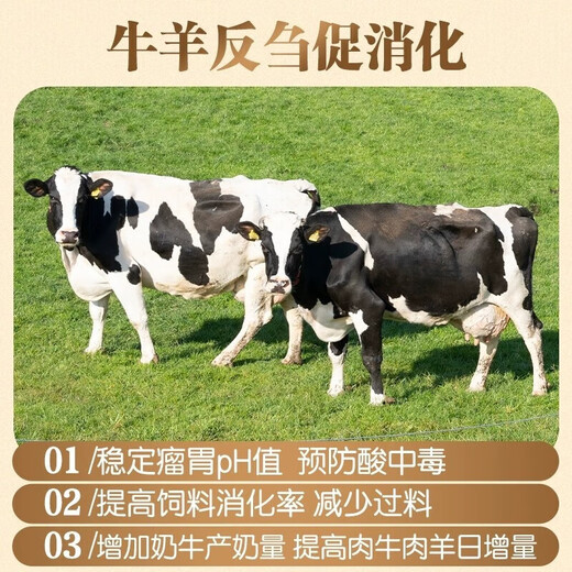 Fubang Angel Ruminant Saccharomyces cerevisiae feed additive, special yeast rumen treasure for cattle and sheep, Newegat F5 500g/bag/Angel Bacillus subtilis