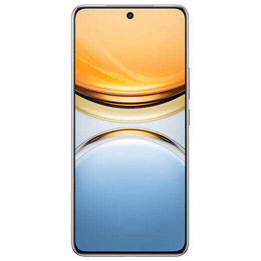 Vivo Y300 Pro 12GB+512GB titanium color 6500mAh ultra-thin blue ocean battery full depth micro four-curved screen SGS five-star anti-fall certification AI camera phone