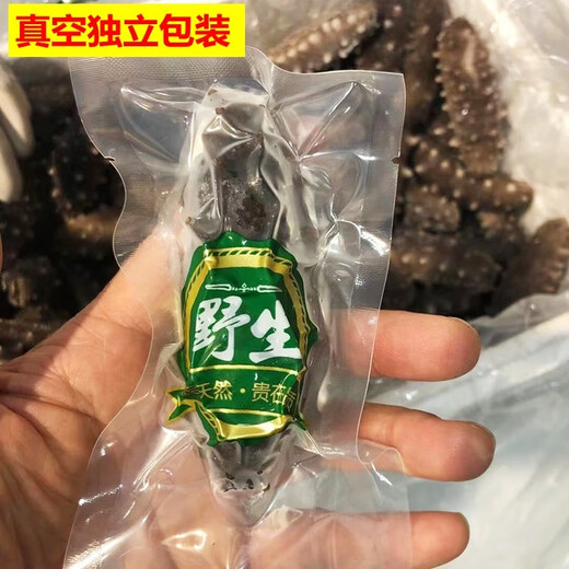 Top Eater Wild Ready-to-Eat Sea Cucumbers Dalian Changhai County Deep Sea Sowing Frozen Aquatic Sea Cucumbers Open Bags Instant Single Pack 500g 10-12 Pieces/1Jin Jin is equal to 0.5 kg